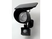 Solar Security Light With Buzzer