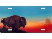 Bison with Sunset License Plate