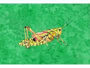 Grasshopper On Green Fabric Placemat
