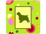 Set of 4 Welsh Springer Spaniel Foam Coasters Type: Trivets & Coasters Color: Multi-Color Color Mapping: Multi-Color Material: Polyester Style: Animal & Jungle Shape: Square Special Features: 100% Polyester Machine Washable: Yes