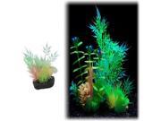 UPC 030172071089 product image for Extra Small Bamboo Leaf Glow Plant 6