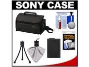 Sony LCS-U20 Medium Carrying Case for Handycam, Cyber-Shot, NEX Digital Camera (Black) with Battery + Accessory Kit