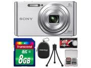 Sony Cyber-Shot DSC-W830 Digital Camera (Silver) with 8GB Card + Case + Flex Tripod + Accessory Kit