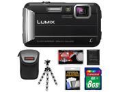 Panasonic Lumix DMC-TS25 Shock & Waterproof Digital Camera (Black) with 8GB Card + Case + Flex Tripod + Accessory Kit