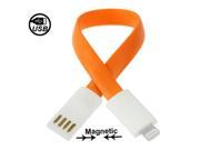Magnet Lightning 8 Pin USB Sync Data Charging Cable for iPhone 5 iPad 4 iPod touch 5 Available in 4 colors