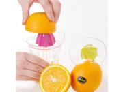 Seashell Shape Juicer Lemon Squeezer Manual Orange Extractor