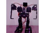 9DOF Race walking robot Humanoid dance Small and exquisite