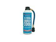 Quick R134a Refrigerant 306