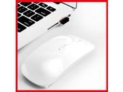 Brand New 2.4GHz USB Wireless Optical Mouse Mice for Apple M