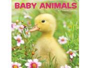 Baby Animals Wall Calendar by Leap Year Publishing