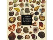 Cabinet of Natural Curiosities Wall Calendar by Catch Publishing