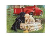 Willow Creek Press WC39781 Just Dogs Puzzle