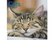 Cats Mini Wall Calendar by Ziga Media LLC