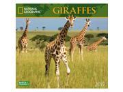 Giraffes Wall Calendar by Zebra Publishing