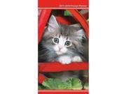 Cuddly Kittens Monthly Pocket Planner by Trends International