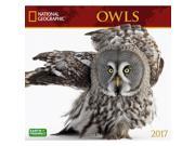 Owls Wall Calendar by Zebra Publishing