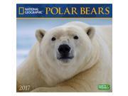 Polar Bears Wall Calendar by Zebra Publishing