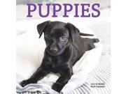Puppies Mini Wall Calendar by Leap Year Publishing