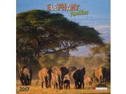 Elephant Families 170331