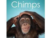Chimps Wall Calendar by Leap Year Publishing