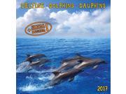Dolphins 171002