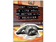 Cat Better with a Squeaker Magnet by Hot Properties!