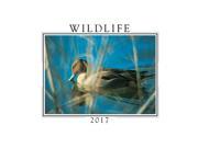 Wildlife Mini Wall Calendar by Creative Arts Publishing
