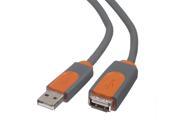 Belkin CU1100CP4.8M USB cable
