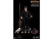 Harry Potter and the Sorcerers Stone Harry Potter 1/6 Scale Action Figure