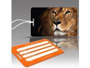 UPC 400007704886 product image for Lion Luggage Tags - Set of Three | upcitemdb.com