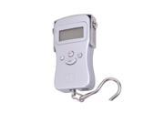 Portable 110lbs 50kg Digital Fish Hanging Luggage Weight Electronic Hook Scale