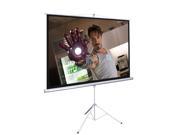 New Portable 100 Projector 4 3 Projection Screen Tripod Pull up Matte White