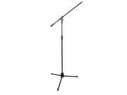 Microphone Stand with Boom