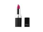12 Colors Sexy Lipstick Waterproof Lip Beauty Lip Rouge Gloss Makeup