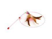 Kitten Cat Pet Toy Wire Chaser Wand Teaser Feather With Bell Beads Play Fun