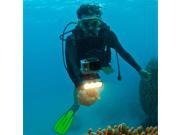 30m Underwater Waterproof Diving Spot Light LED Mount for GoPro Hero 4 3 3