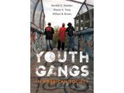 Youth Gangs in American Society 4