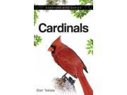 Cardinals Backyard Bird