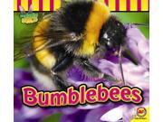 Bumblebees Fascinating Insects