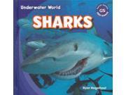 Sharks Underwater World