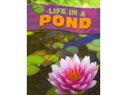 Life in a Pond Nature in Focus