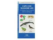 Cape Cod Seashore Life: An Introduction To Familiar Plants & Animals In The Cape Cod Region (pocket Naturalist Guide)