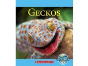 Geckos Nature s Children
