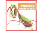 Praying Mantises Insect World