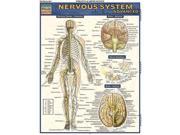 Nervous System Advanced Quick Study Academic 1 LAM CRDS