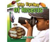 Life Cycles Of Insects Insects Close-up
