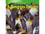 A Penguin Colony Animal Groups