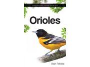 Orioles Backyard Bird