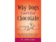 Why Dogs Can't Eat Chocolate 1