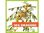 Sea Dragons Life Under the Sea